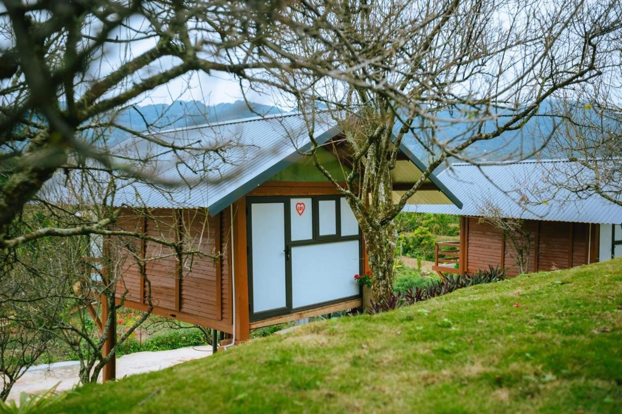 Eco House Moc Chau Bed & Breakfast エクステリア 写真